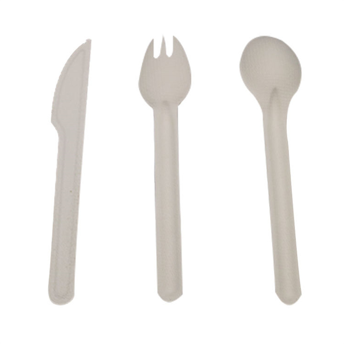  Sugarcane Bagasse Cutlery from disposablesInc.com The best import service in China. Import your disposable items and products from us.